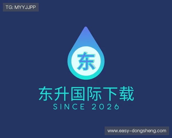 介绍东升国际下载